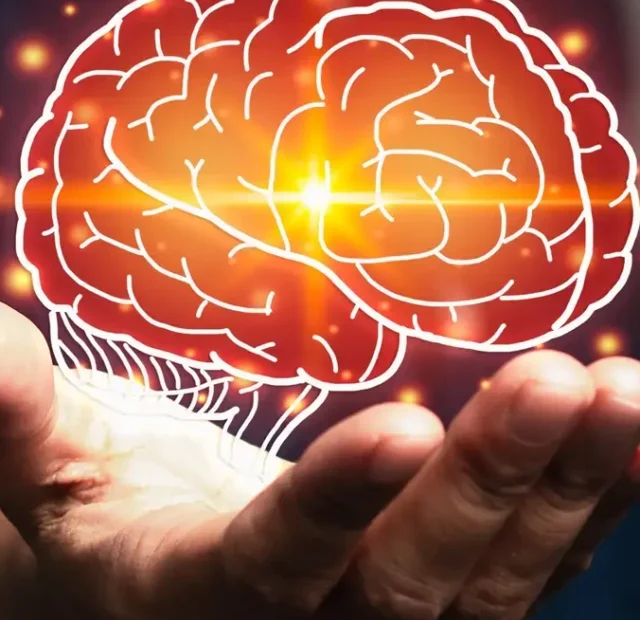 Amazing Facts About the Human Brain