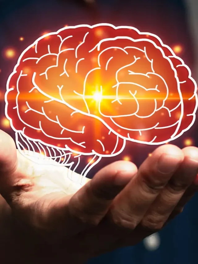 Amazing Facts About the Human Brain