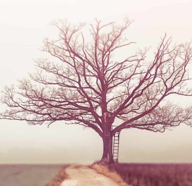 Hidden Truths About Daily Life