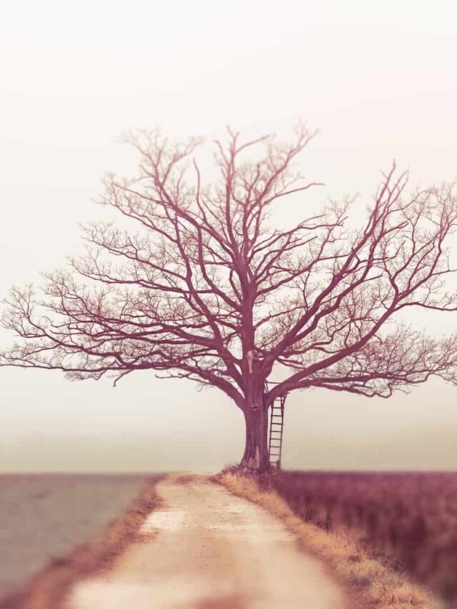 Hidden Truths About Daily Life